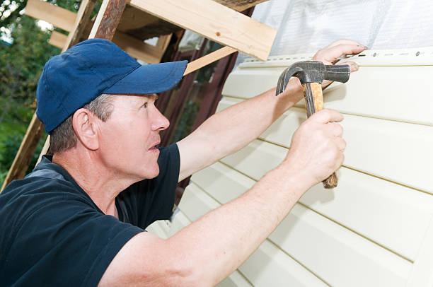 Best Aluminum Siding Installation  in Santaquin, UT