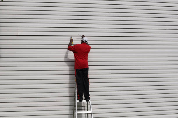 Best Insulated Siding Installation  in Santaquin, UT