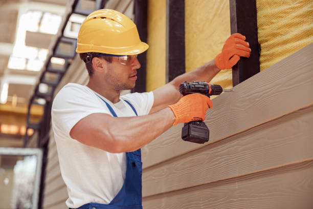 Best Vinyl Siding Installation  in Santaquin, UT